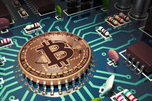 Multiple mining rigs set up in a farm